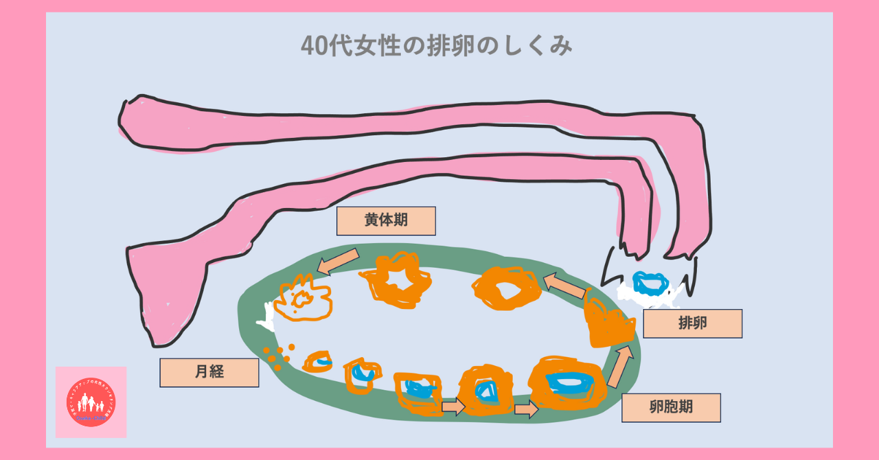 sex-postcoital-uterus-painful