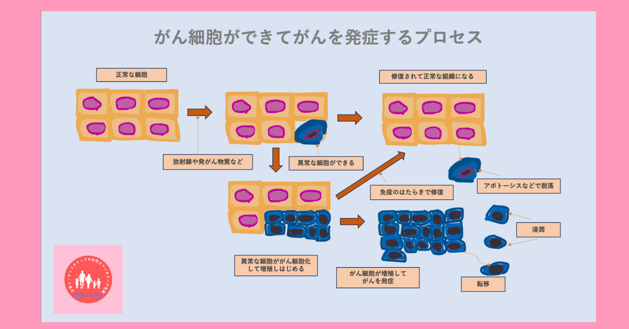 immunity-cancer-prevention