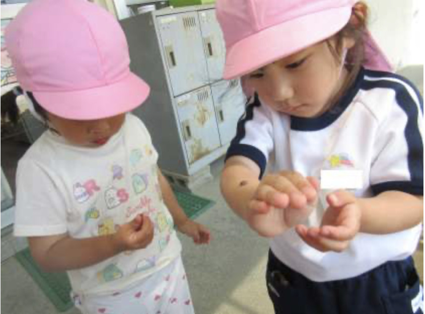 sakai-shirasagi-kindergarten