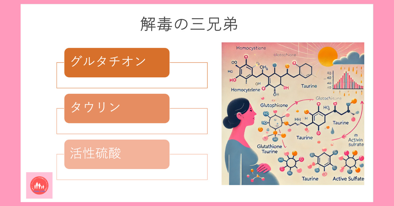 during-pregnancy-activities-folic-acid-methylation