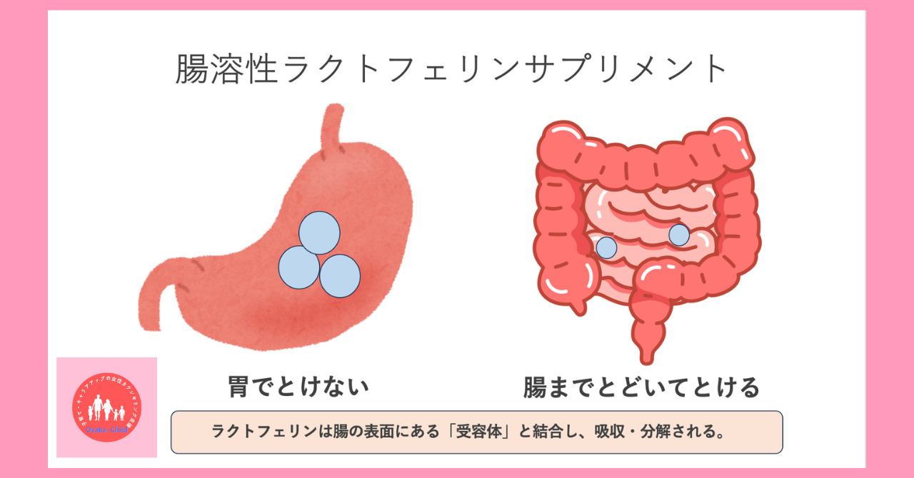 lactoferrin-enteric-coated-and-non-enteric-coated-difference