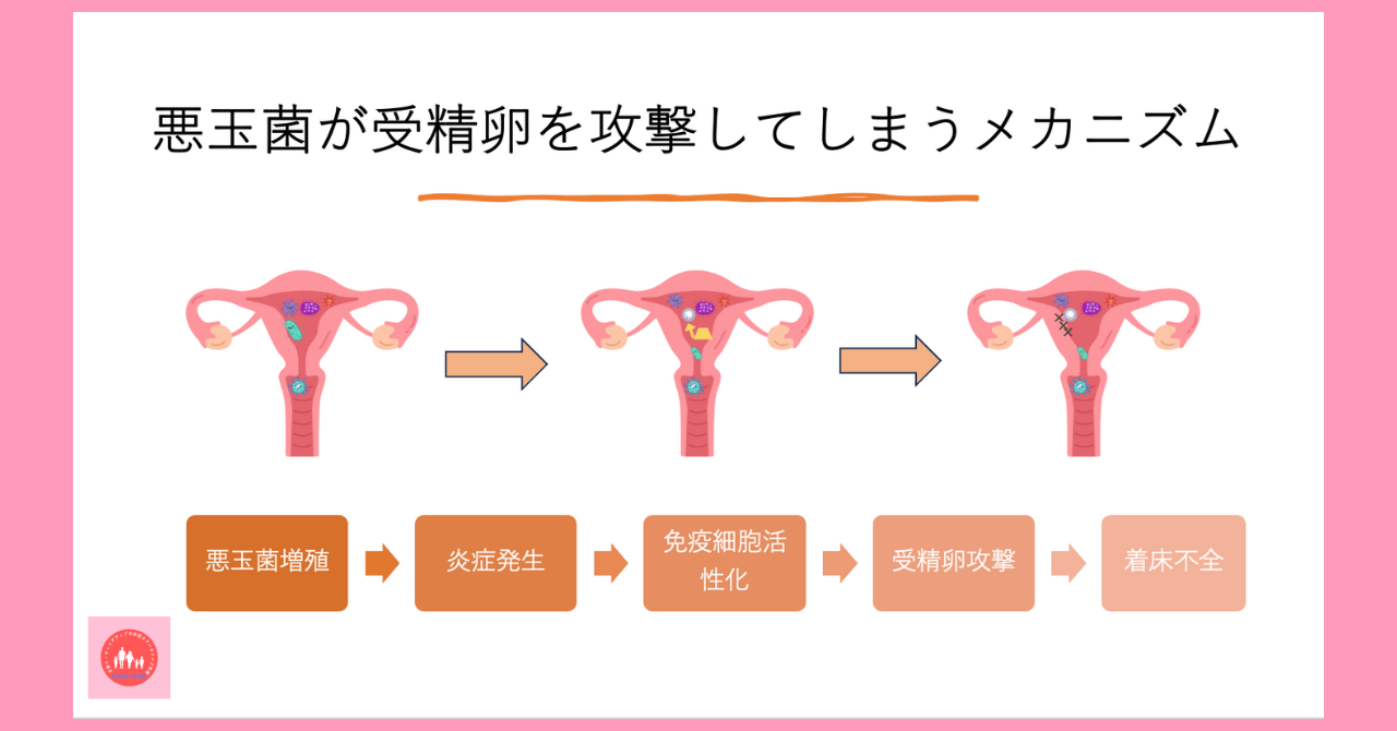 early-miscarriage-cause-chromosomal-abnormality