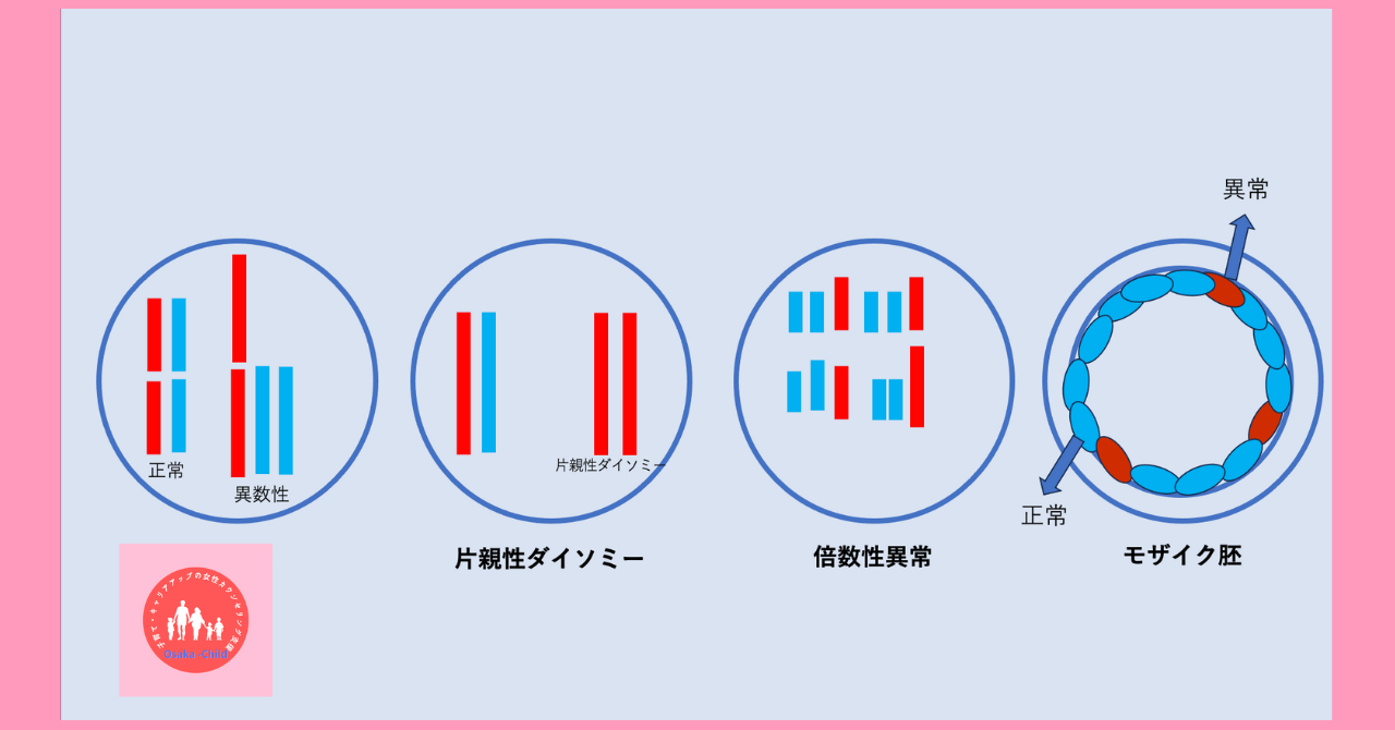 preimplantation-genetic-testing-for-aneuploidy-pgt-a