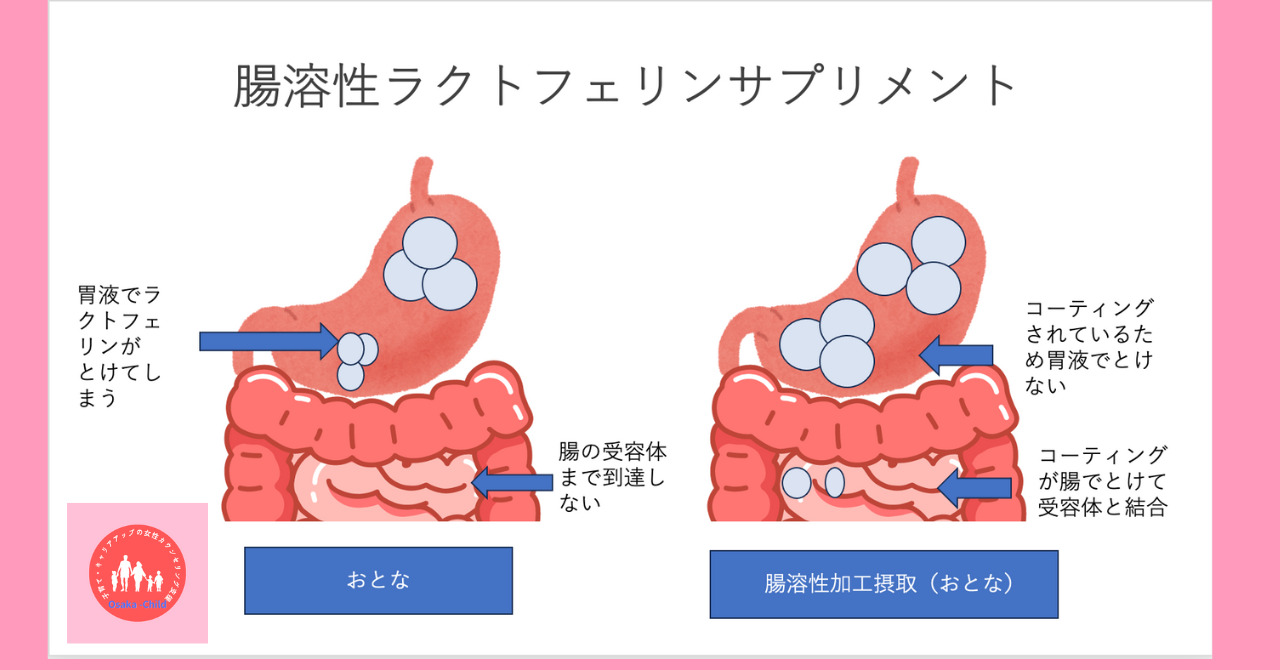 lactoferrin-enteric-coated-and-non-enteric-coated-difference