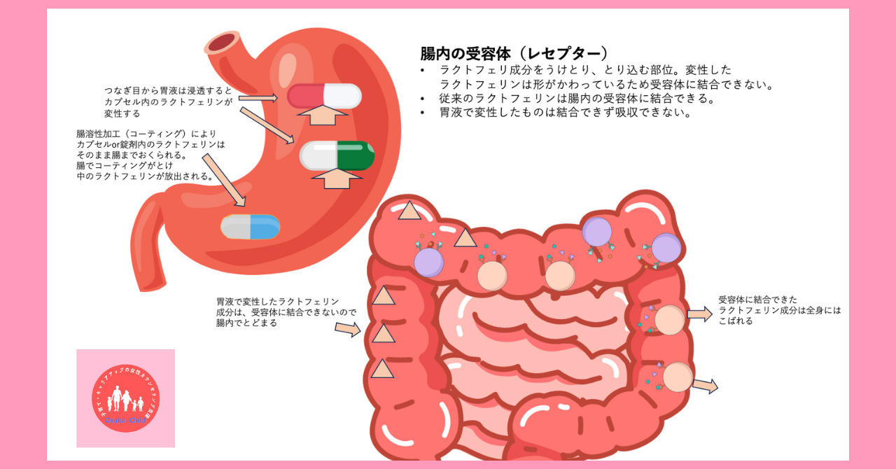 enteric-coated-lactoferrin-supplement-selection