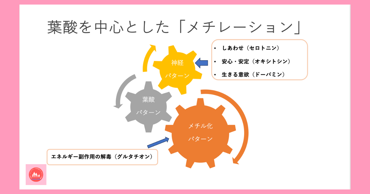 during-pregnancy-activities-folic-acid-methylation