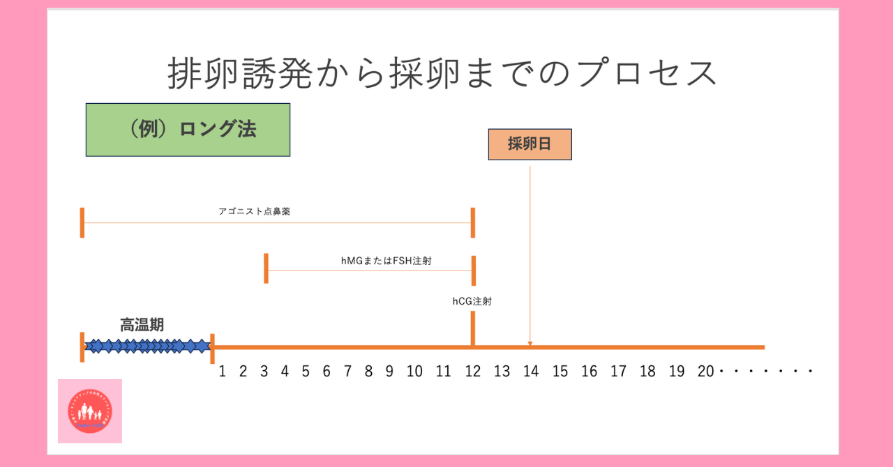 egg-retrieval-embryo-transfer-sexual-intercourse-when-to-resume