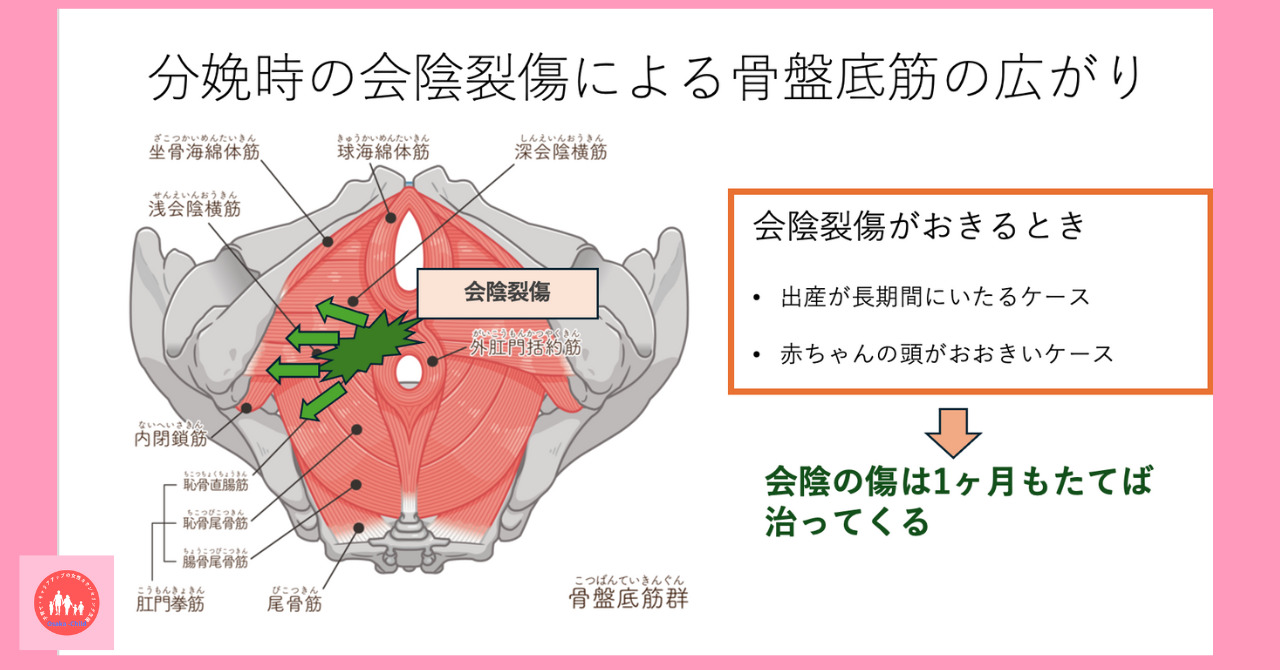 postpartum-perineal-pain