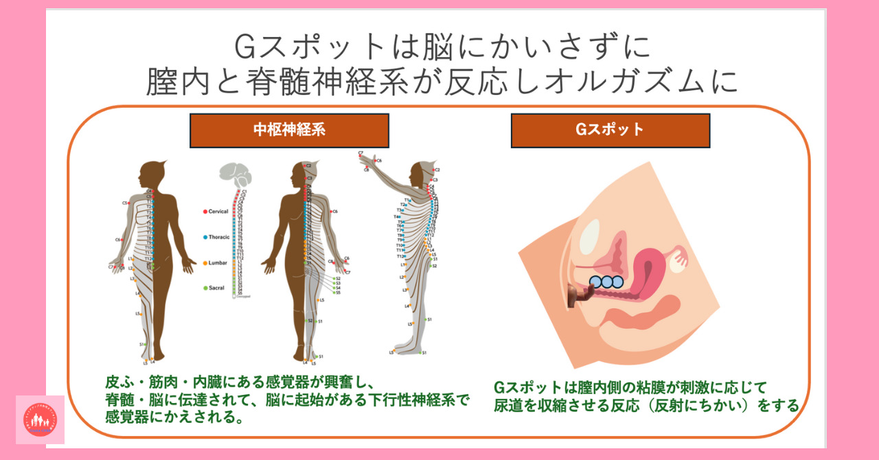 postpartum-g-spot-orgasm-technique