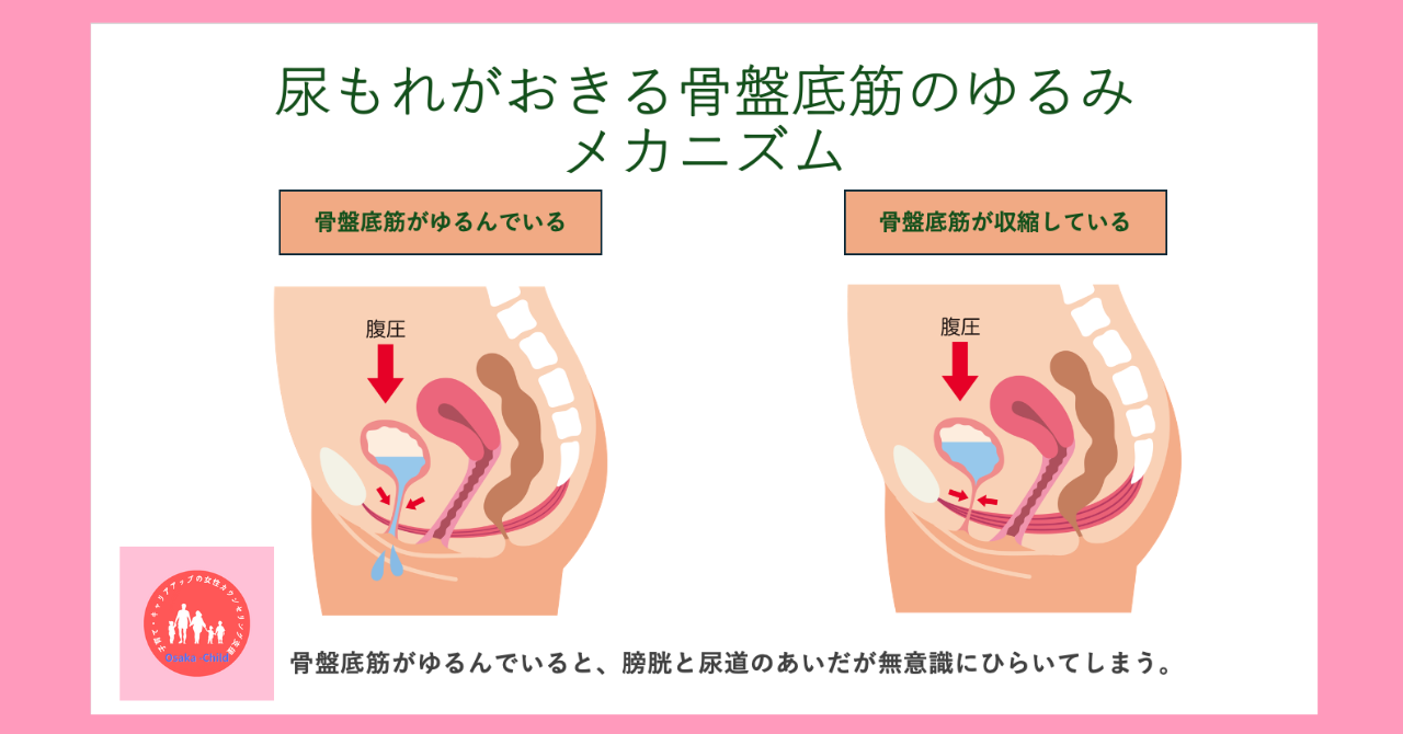 postpartum-pelvic-floor-muscles