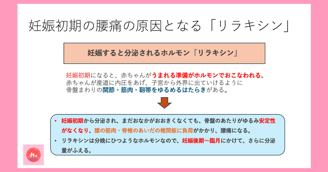 early-pregnancy-relaxin-hormone