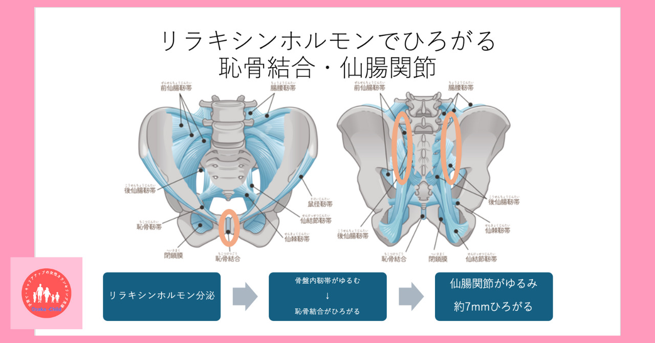 postpartum-relaxin-pelvic-loosening