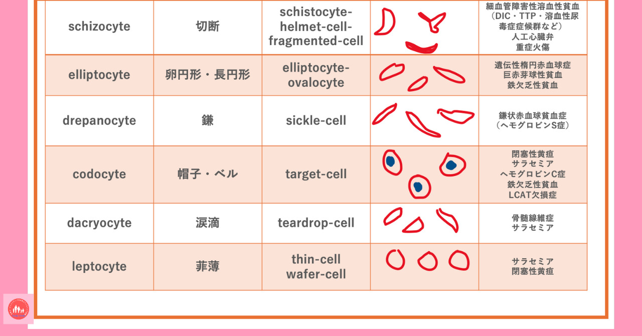 postpartum-severe-anemia-diagnosis-testing-method-peripheral-blood