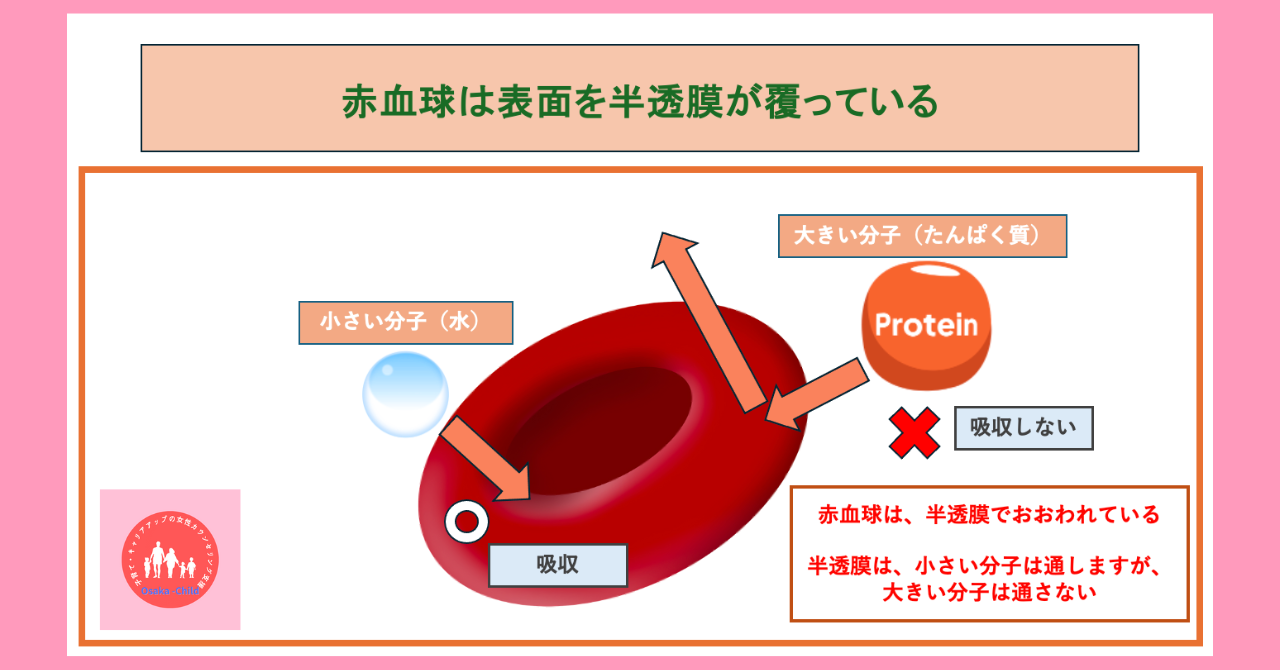 postpartum-severe-anemia-diagnosis-test-method-solution-test