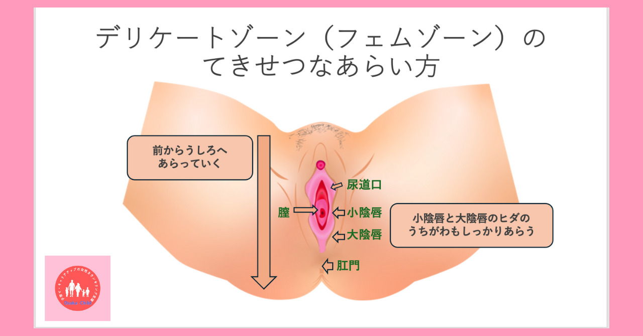 postpartum-female-genitalia-structure-function