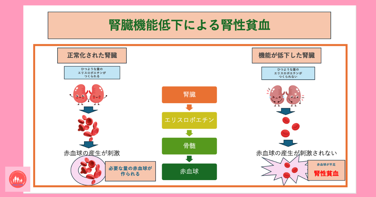 postpartum-anemia-diagnosis