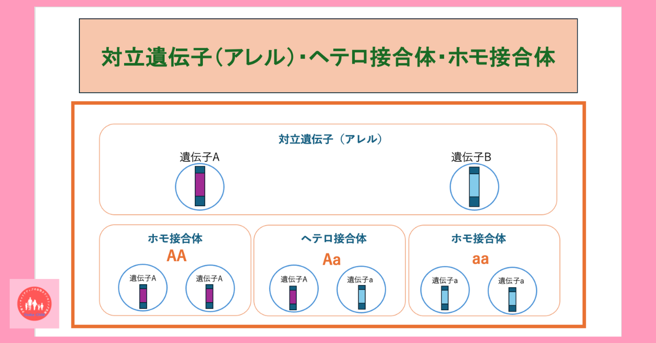 postpartum-anemia-congenital-red-blood-cell-abnormality