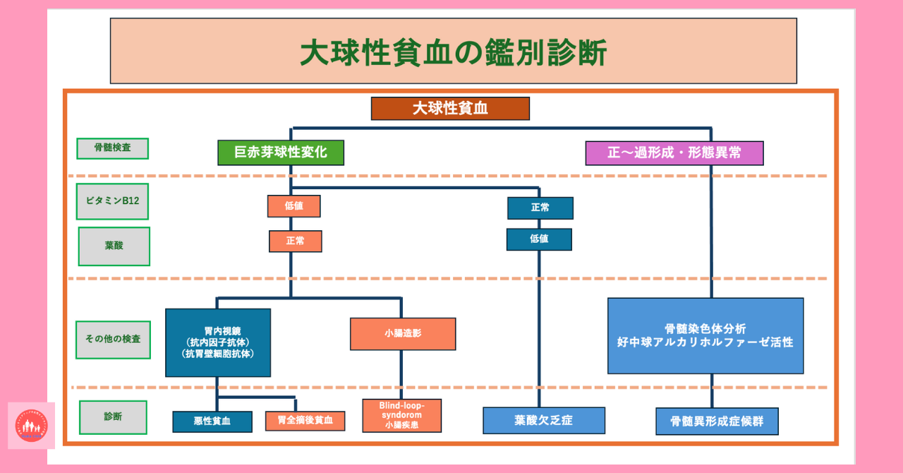 postpartum-anemia-diagnosis