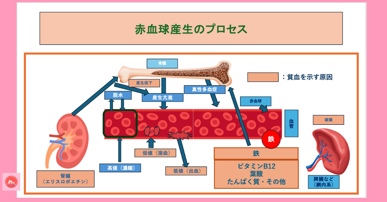 postpartum-severe-anemia-diagnosis-testing-method-peripheral-blood