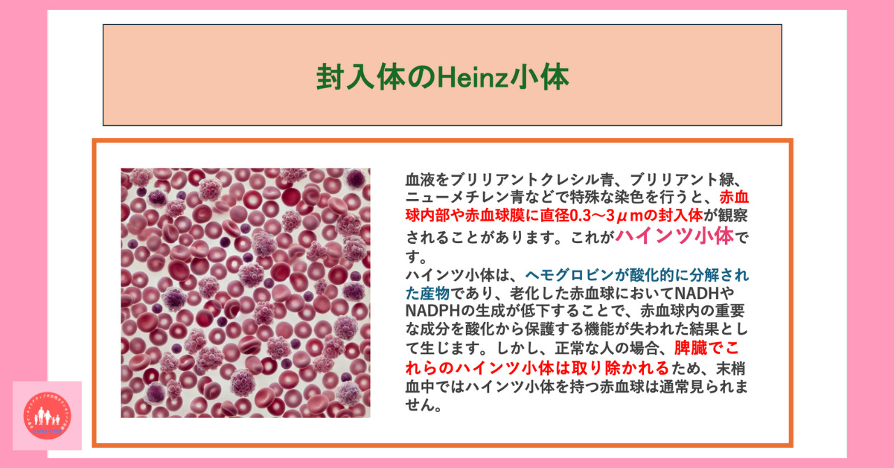 postpartum-anemia-congenital-red-blood-cell-abnormality