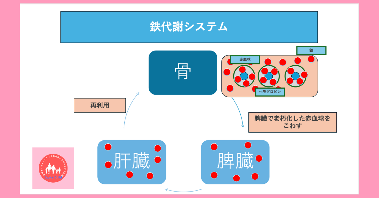 postpartum-anemia-possible-diseases