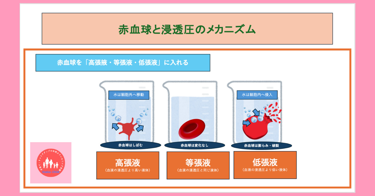 postpartum-severe-anemia-diagnosis-test-method-solution-test