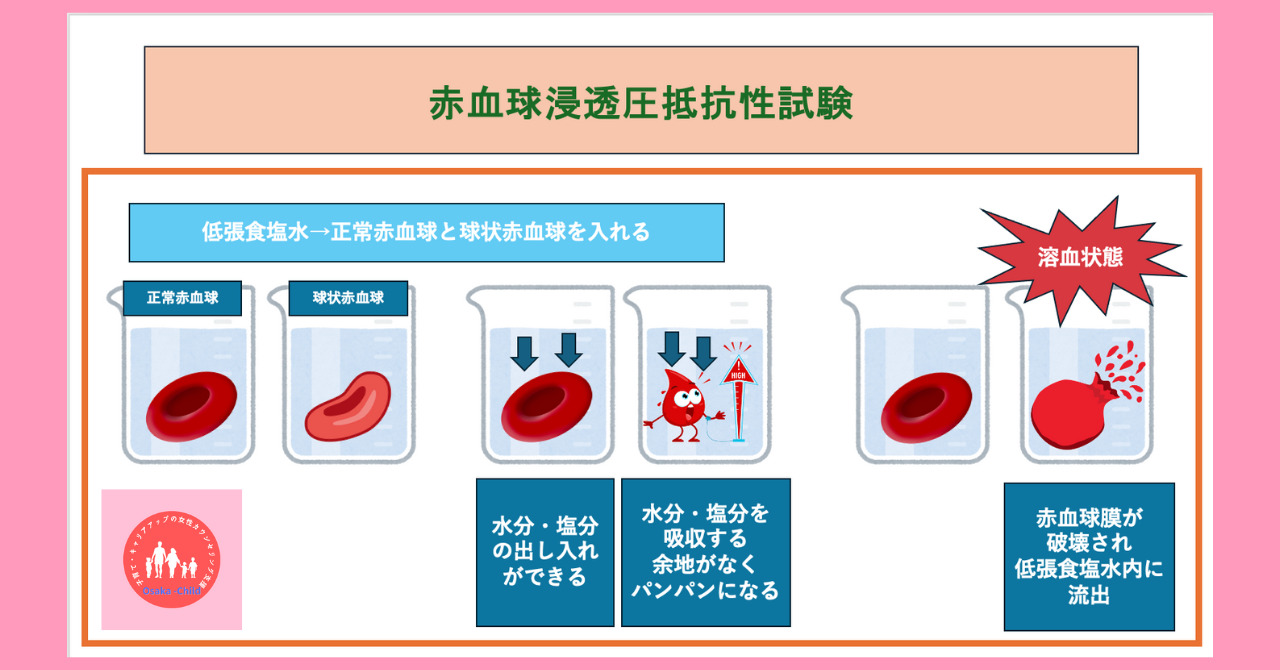 postpartum-severe-anemia-diagnosis-test-method-solution-test