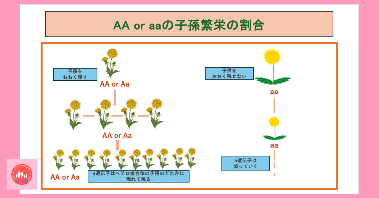 postpartum-anemia-congenital-red-blood-cell-abnormality