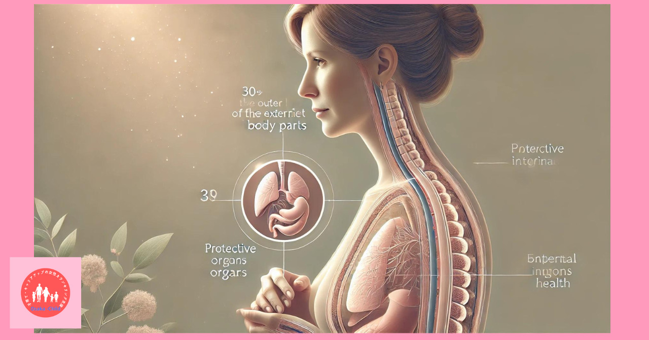 postpartum-female-genitalia-structure-function