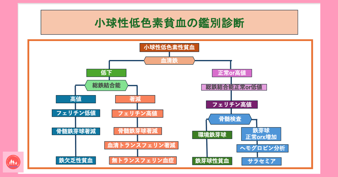 postpartum-anemia-diagnosis