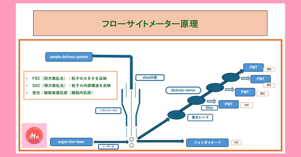 postpartum-severe-anemia-diagnosis-testing-method-flow-cytometry