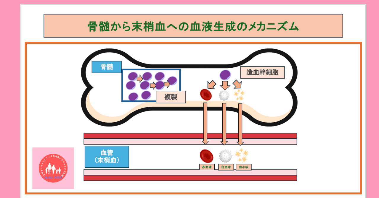 postpartum-severe-anemia-diagnosis-testing-methods-bone-marrow-exam