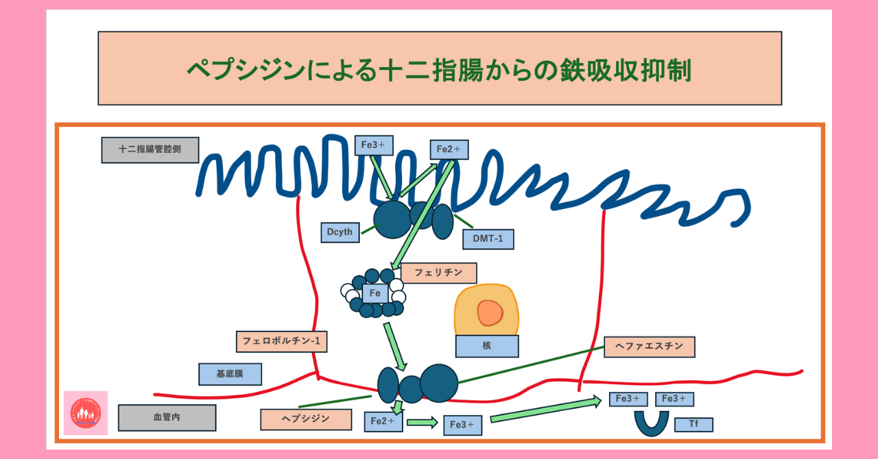 postpartum-infection-inflammation-anemia-treatment