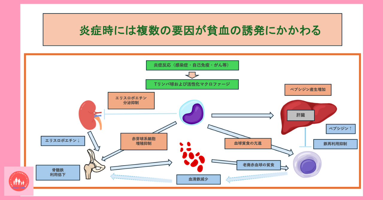 postpartum-infection-inflammation-anemia-treatment