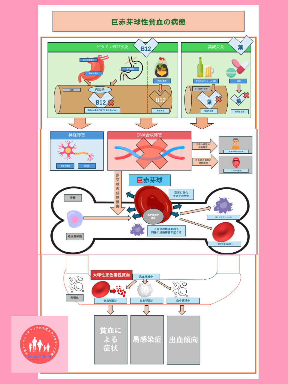 postpartum-megaloblastic-anemia-treatment