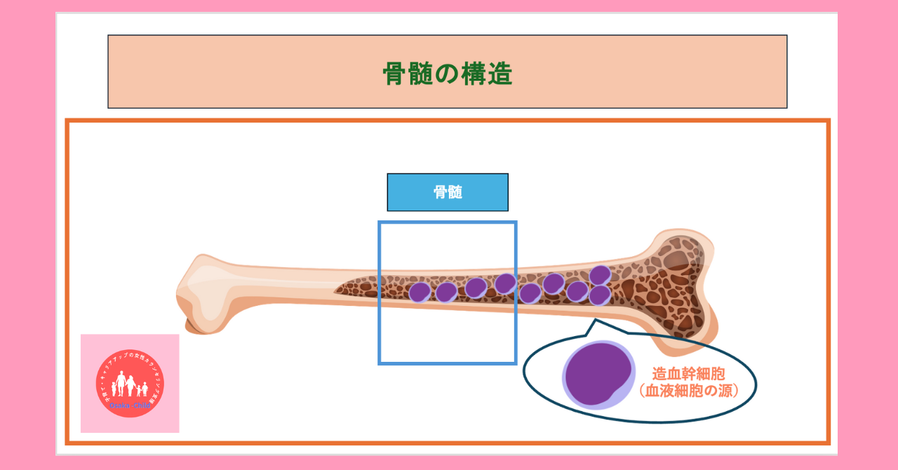 postpartum-severe-anemia-diagnosis-testing-methods-bone-marrow-exam