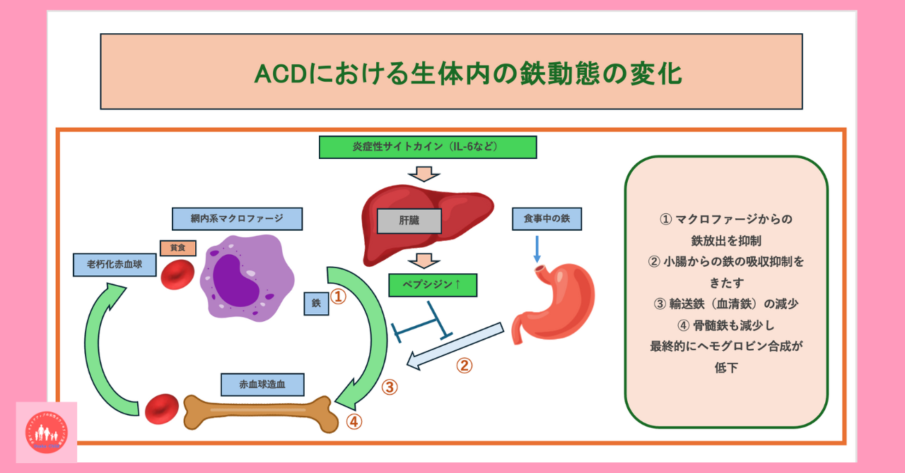 postpartum-rheumatoid-arthritis-collagen-disease-treatment