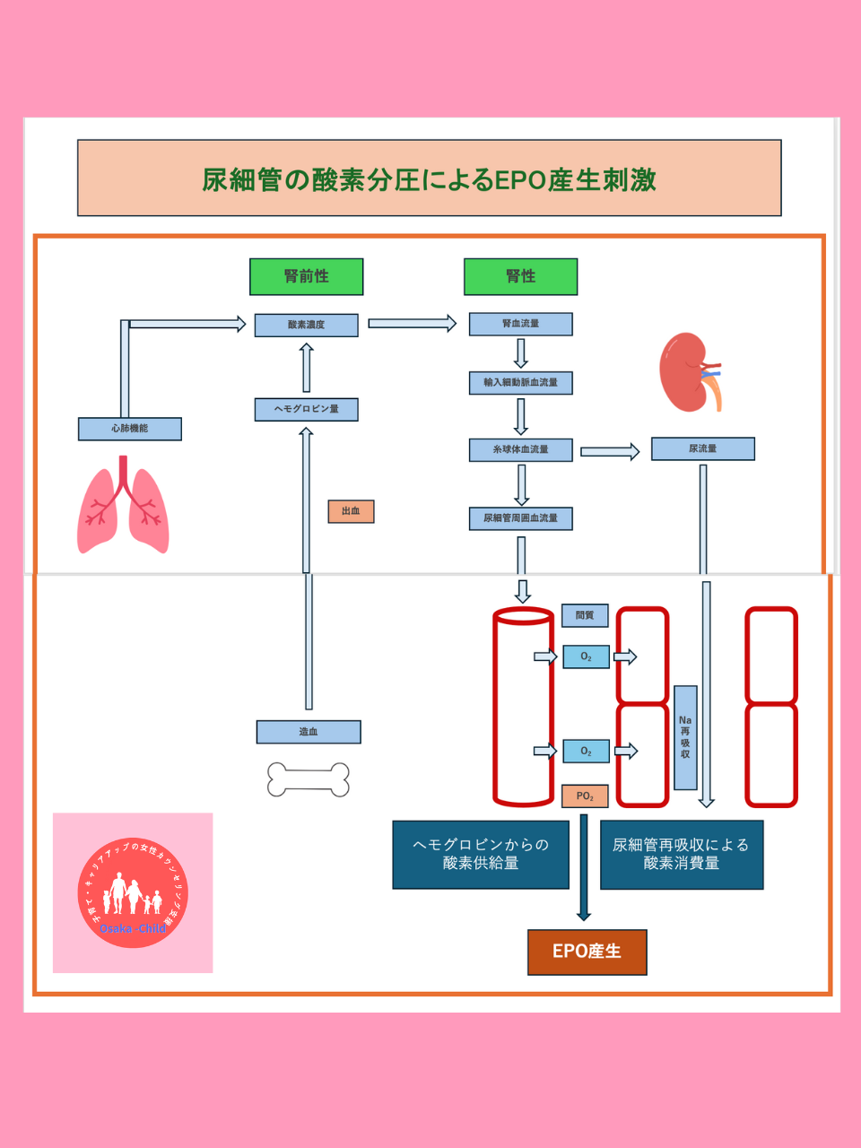 postpartum-renal-anemia-treatment