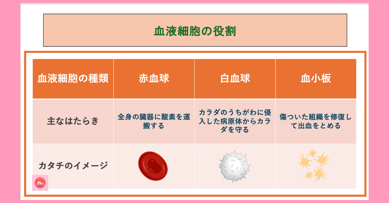 postpartum-severe-anemia-diagnosis-testing-methods-bone-marrow-exam