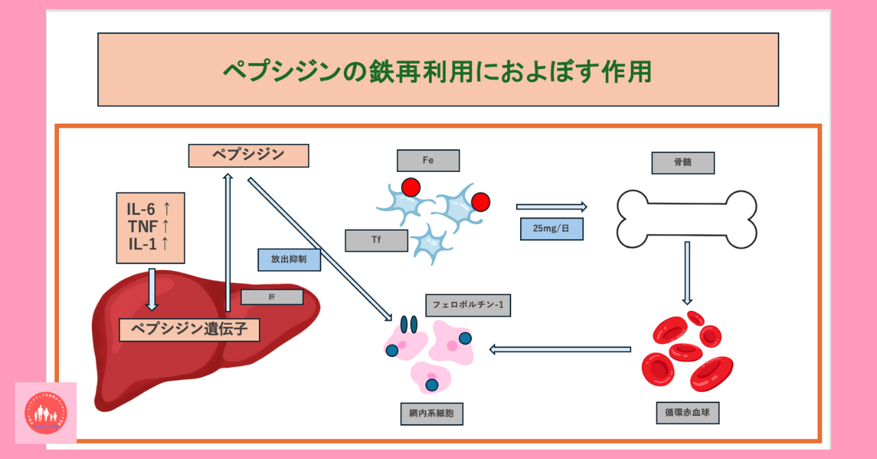 postpartum-infection-inflammation-anemia-treatment