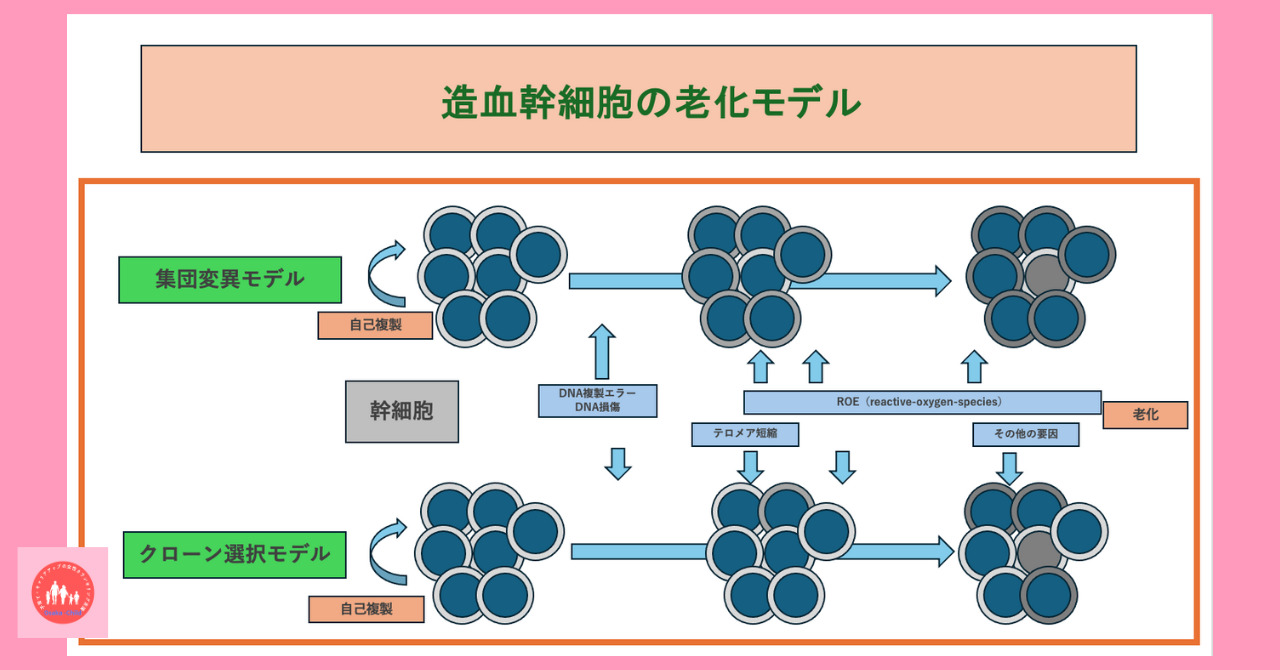 postpartum-50s-and-beyond-aging-anemia-treatment