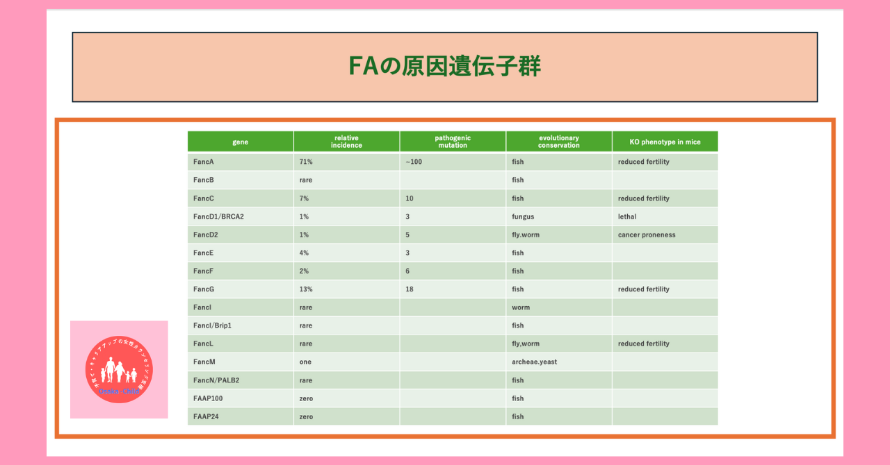 postpartum-fanconi-anemia-molecular-mechanism-treatment