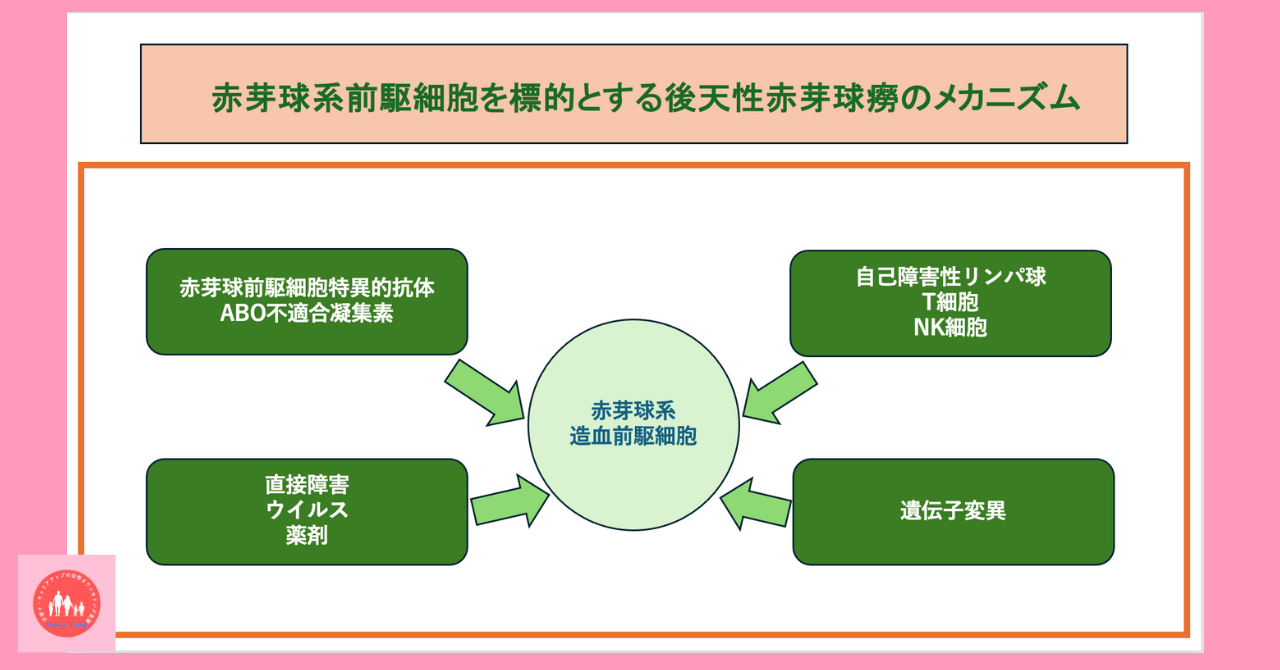 postpartum-acquired-pure-red-cell-aplasia-anemia-treatment