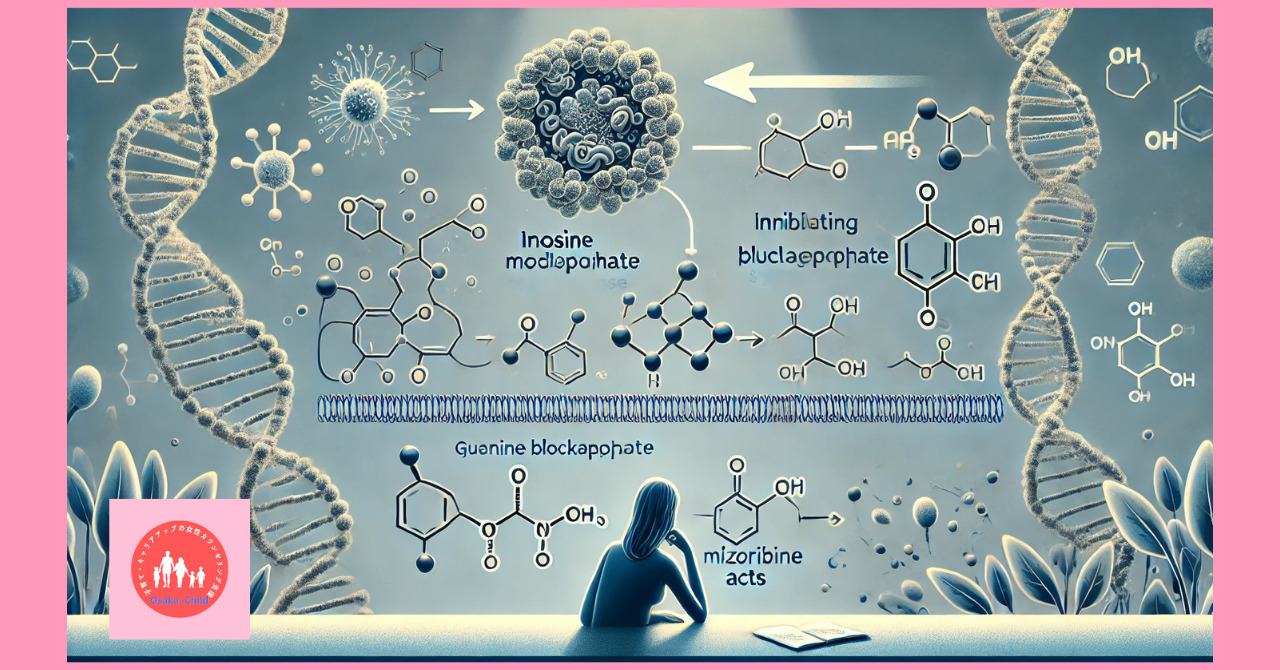 immune-system-related-drug-mizoribine