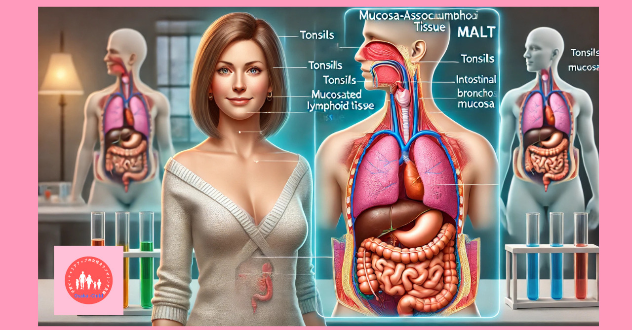 secondary-lymphoid-tissue-mucosa-associated-lymphoid-tissue