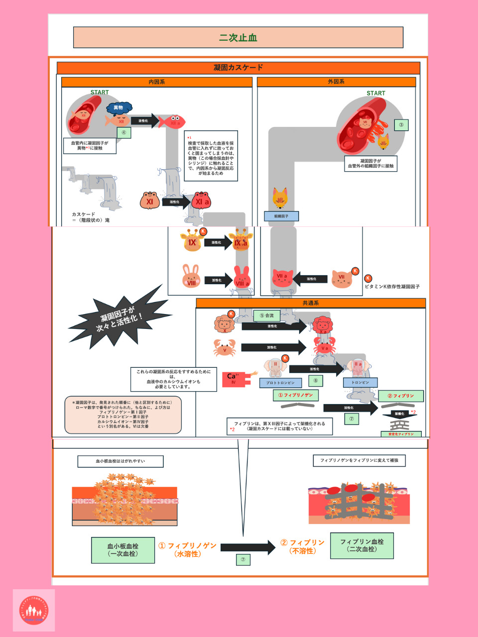 secondary-hemostasis