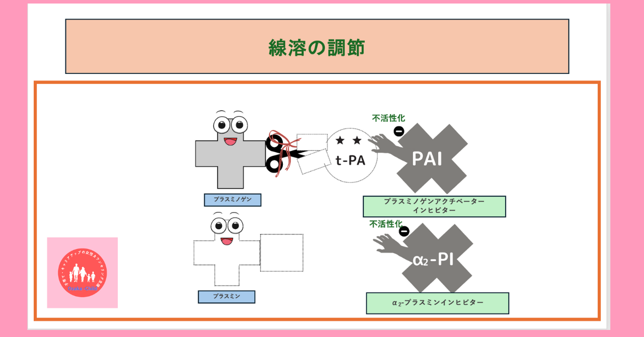 fibrinolysis