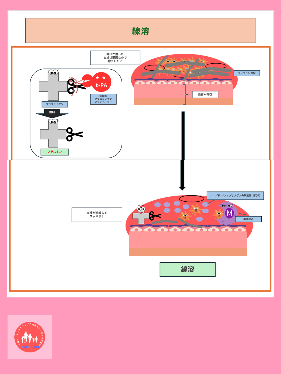 fibrinolysis