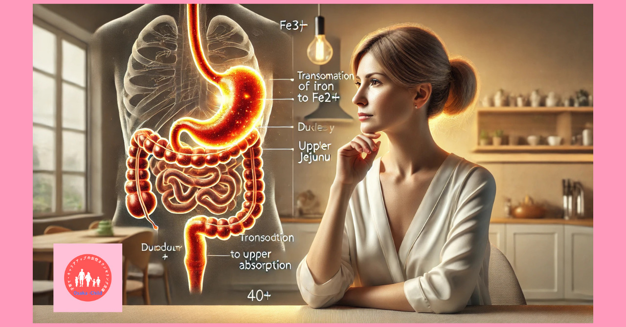 iron-metabolism iron-absorption