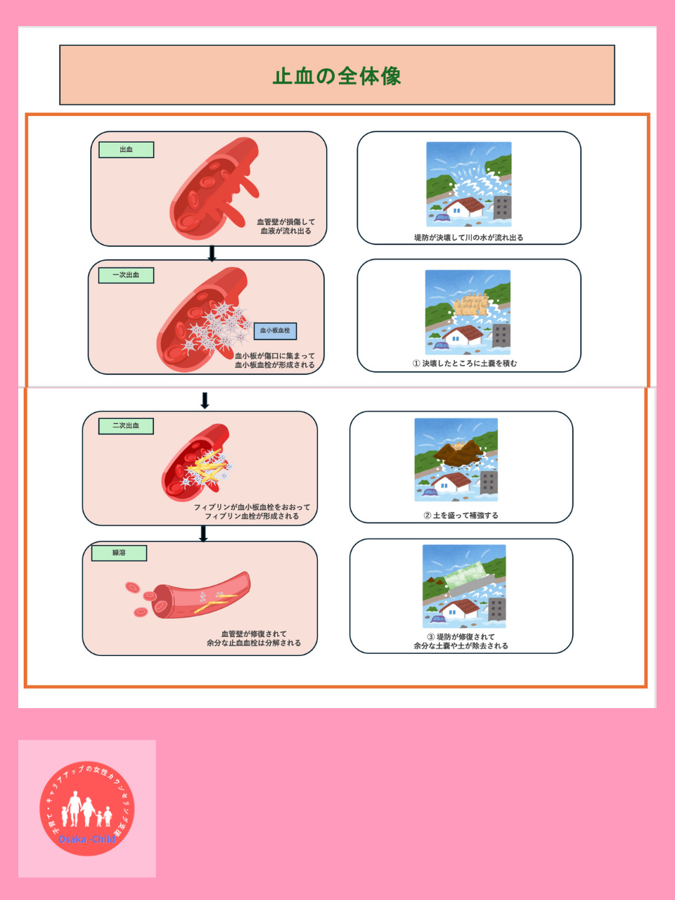 hemostasis